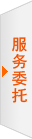 表单咨询